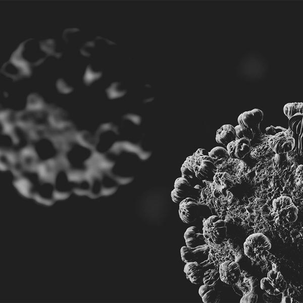 Test dépistage COVID-19 Test dépistage COVID-19 image du virus