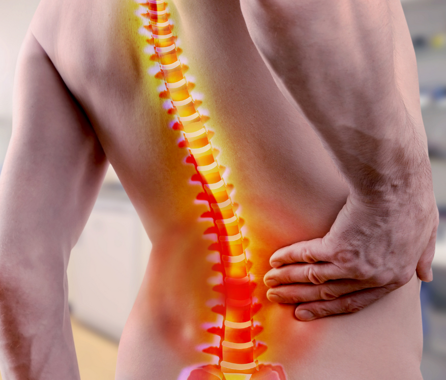 colonne-vertebrale-dos